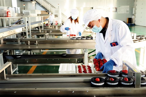 鄂爾多斯 建設(shè)農(nóng)副產(chǎn)品電商服務(wù)中心，賦能養(yǎng)生保健服務(wù)新生態(tài)